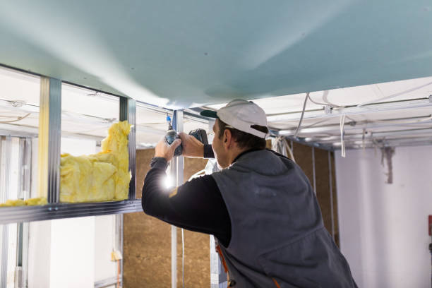 Best Eco-Friendly Insulation in Sandy Oaks, TX