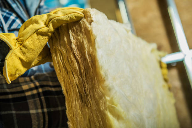 Best Cellulose Insulation in Sandy Oaks, TX