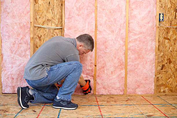 Best Residential Insulation in Sandy Oaks, TX