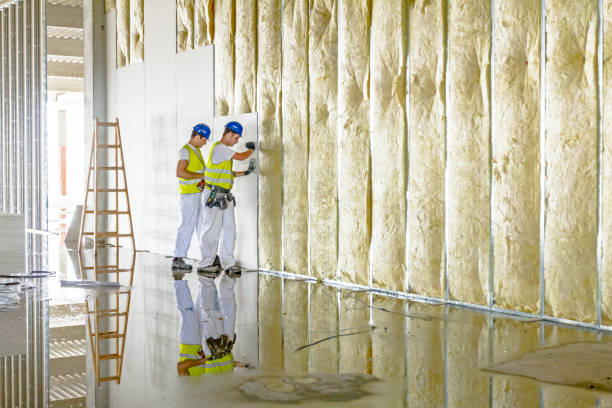 Trusted Sandy Oaks, TX Insulation Contractor Experts